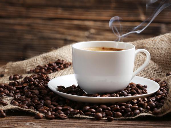 صادرات عمده قهوه ترک فله