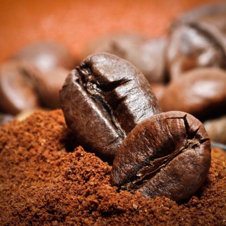 تامین کننده پودر قهوه عربیکا