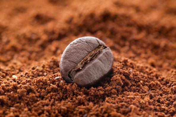 صادرات کلی قهوه پودر شده