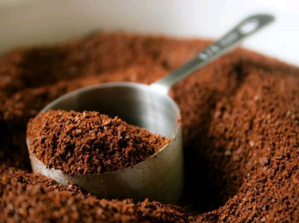 خاصیت پودر قهوه ترک برای آلزایمر