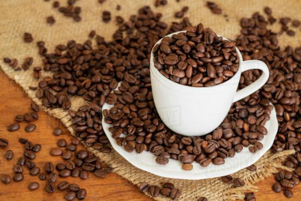 خواص آنتی اکسیدانی قهوه عربیکا