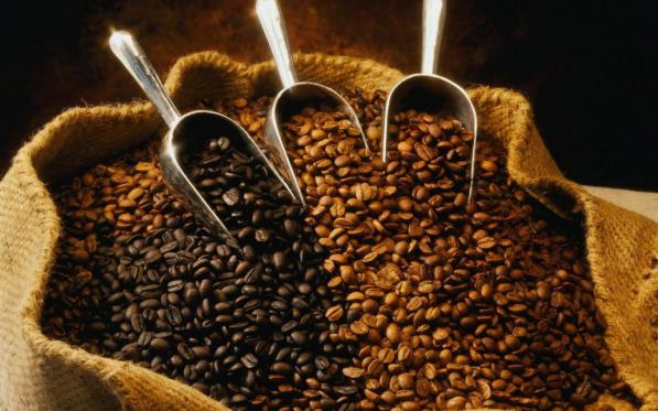 صادرات قهوه ترک عمده