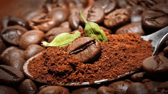بررسی کیفی پودر قهوه ترک