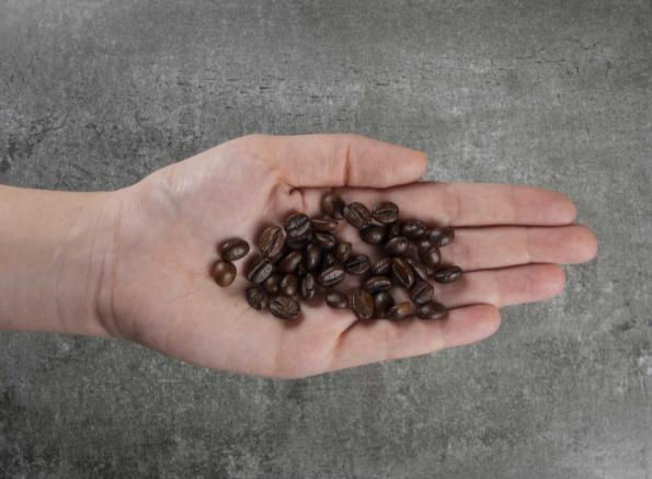 صادرکننده قهوه اسپرسو کیلویی