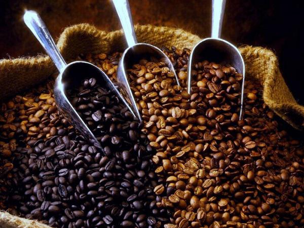 تولید قهوه اسپرسو گلد